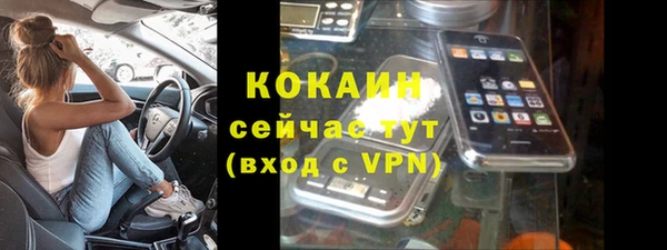 прущая мука Инсар
