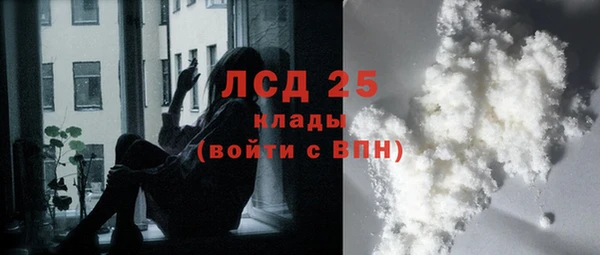 ГАЛЛЮЦИНОГЕННЫЕ ГРИБЫ Иннополис