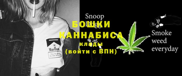 прущая мука Инсар