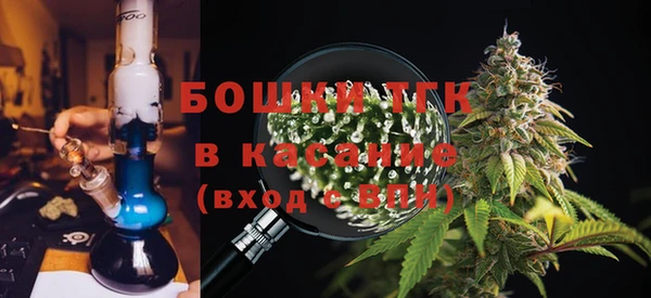 прущая мука Инсар