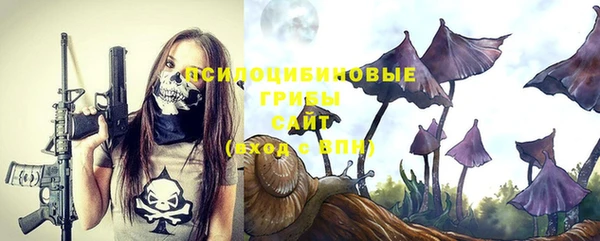 ГАЛЛЮЦИНОГЕННЫЕ ГРИБЫ Иннополис